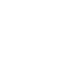 NEOPSE Logo